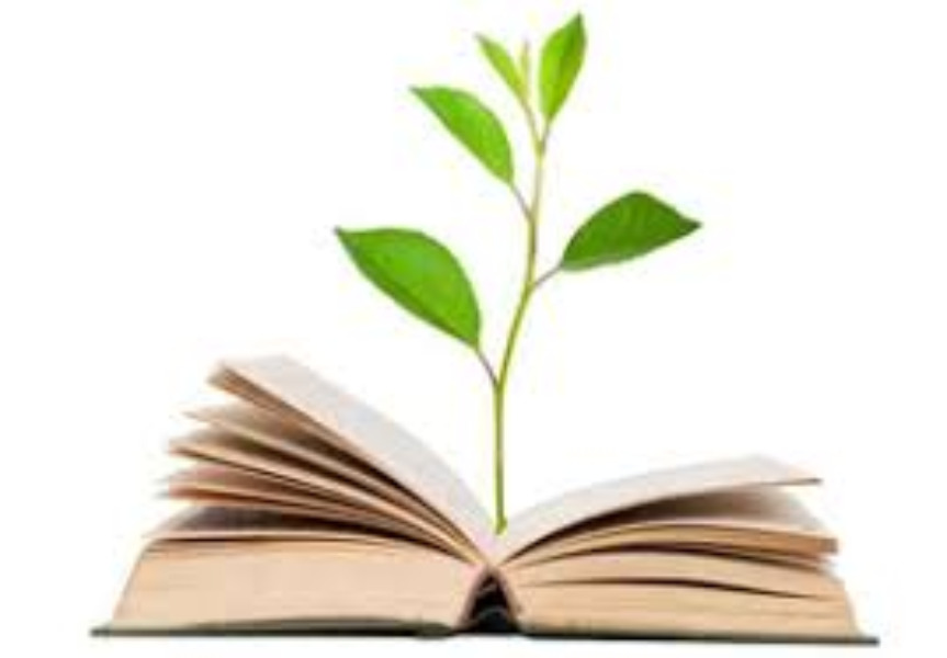 PER LA NASCITA DI 40 E PIU' BIBLIOTECHE DI CLASSE